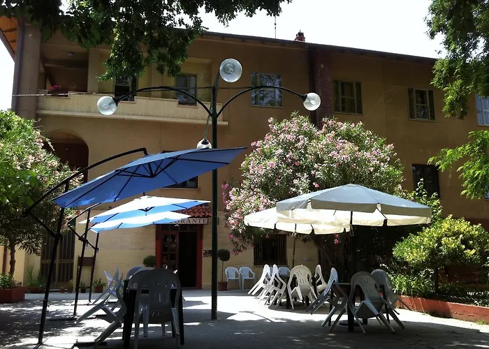 Moderno アリッツォ